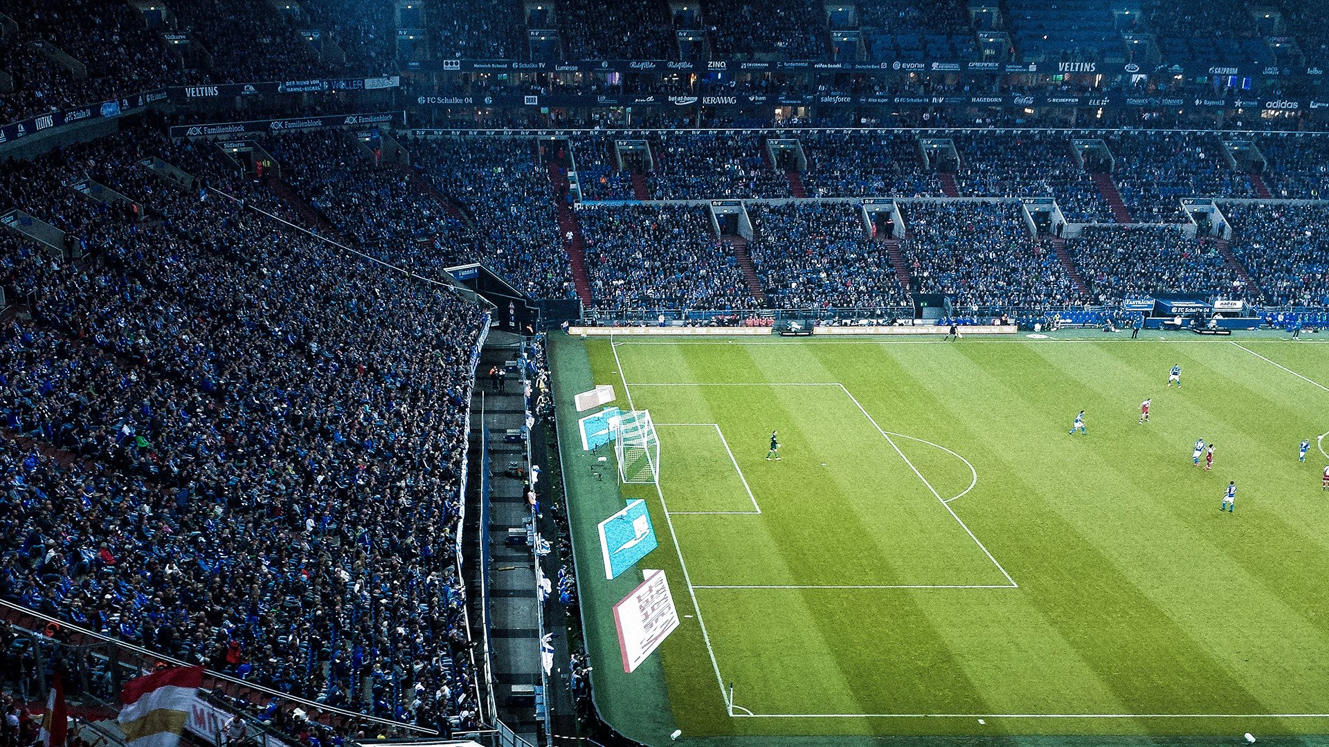 奥运周期关键战之夜，范弗利特进攻端无人可挡，小身躯里的大宇宙